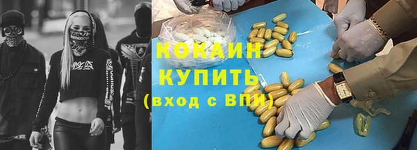 прущий лед Алзамай