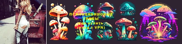 прущий лед Алзамай