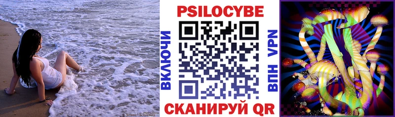 где можно купить наркотик  Ревда  Псилоцибиновые грибы ЛСД 
